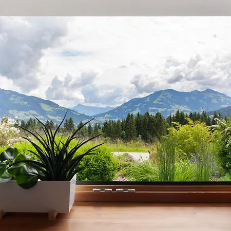 Bergnest Penning Apartment Hopfgarten im Brixental